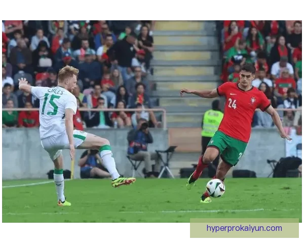 匈牙利中场控制